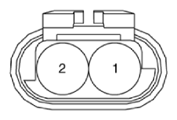 G15591517