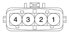 G15694519