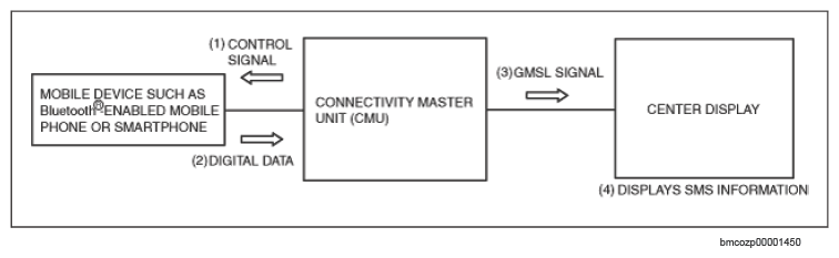 G15743954