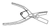 G15750697