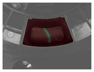 G15771869