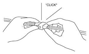 G16077756