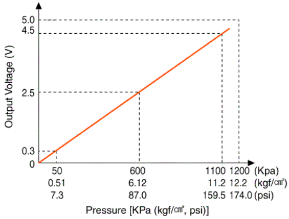 G16177046
