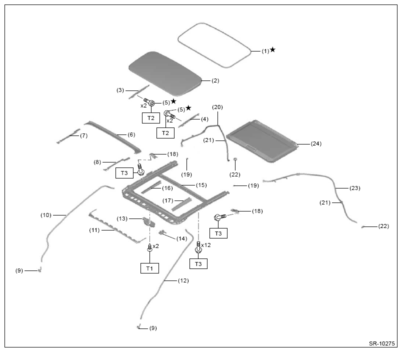 G16541199
