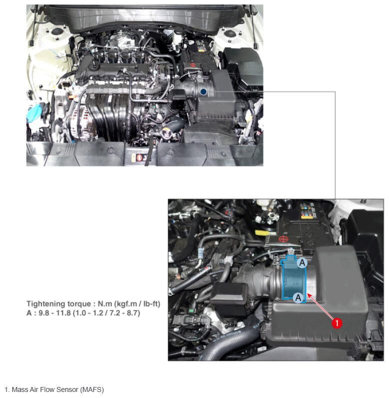 G16544740