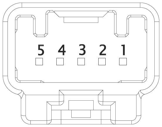G16618299