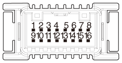 G16856019