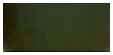 G16903705