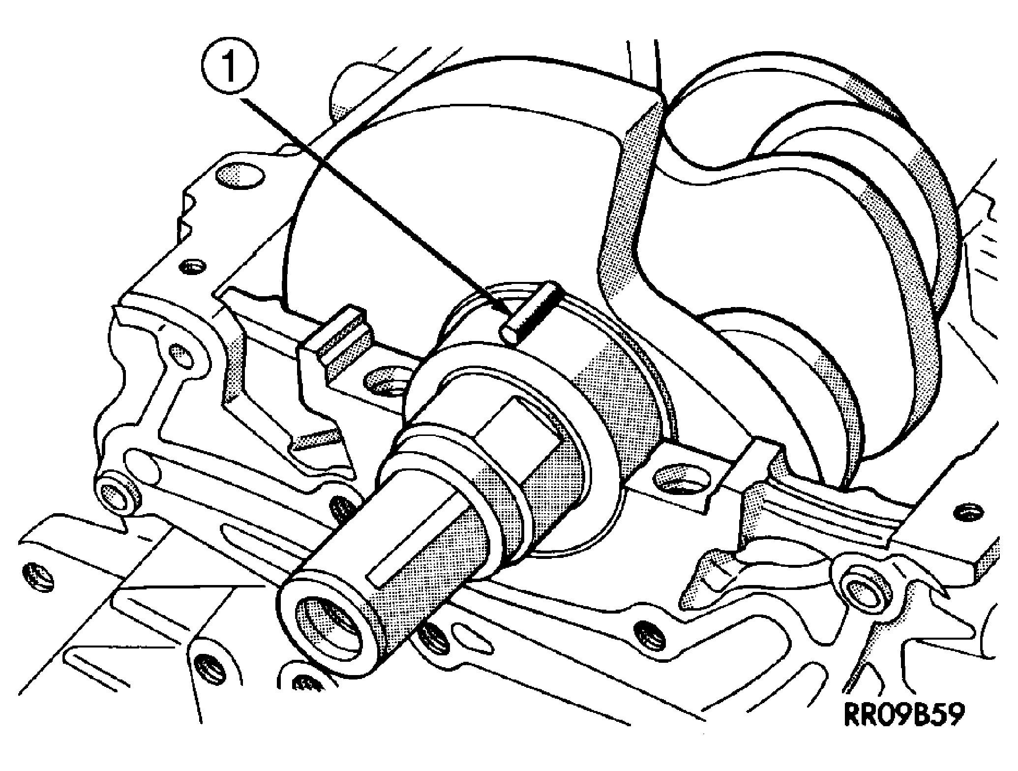 GC0002024