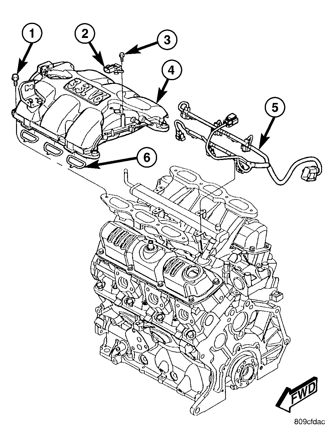 GC0002204