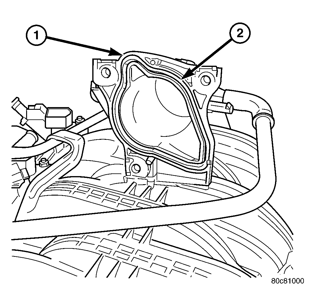 GC0006605