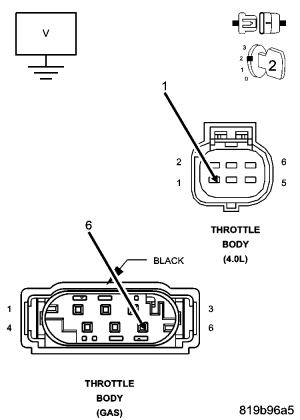 GC0062081