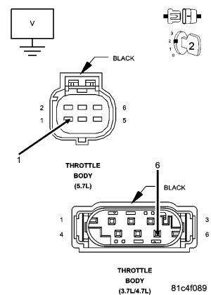 GC0069956