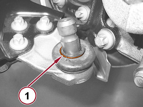 GC0165302