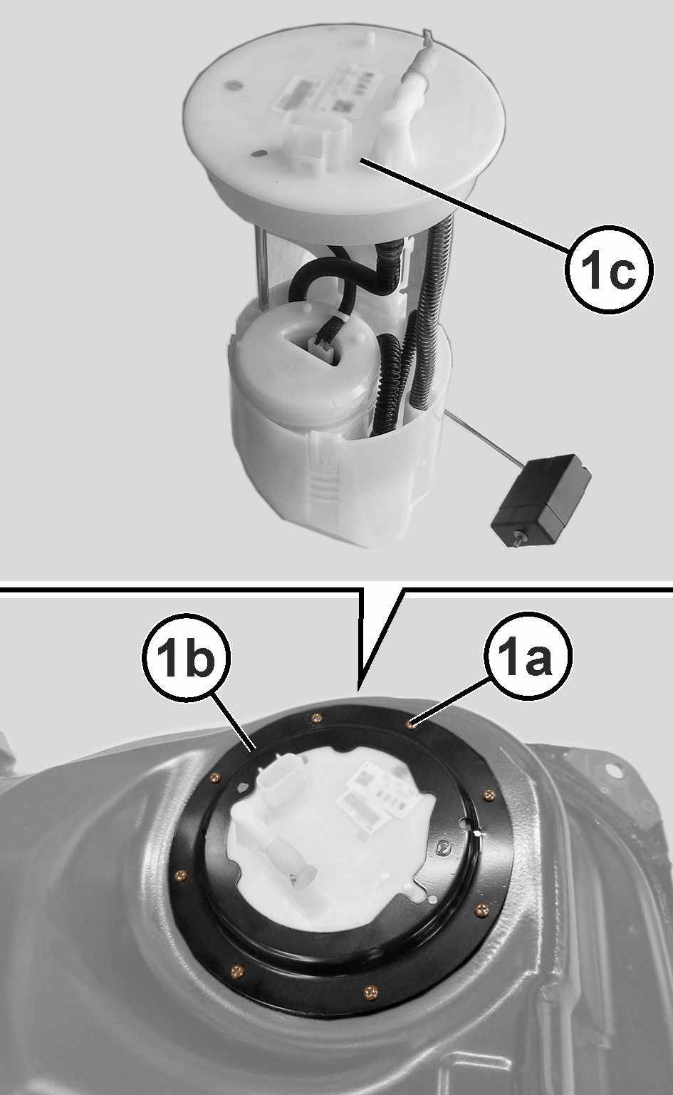 GC0176104