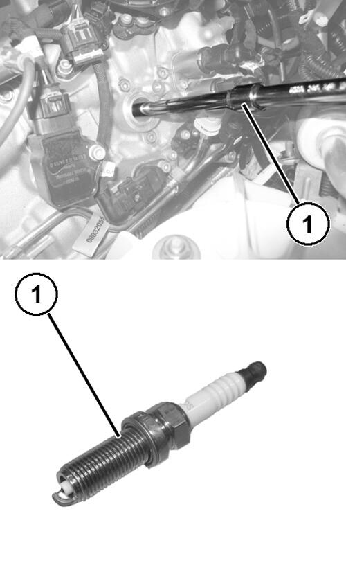 GC0195208