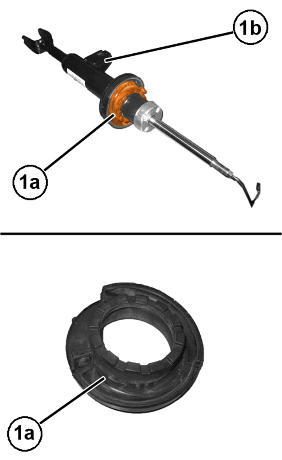 GC0197074
