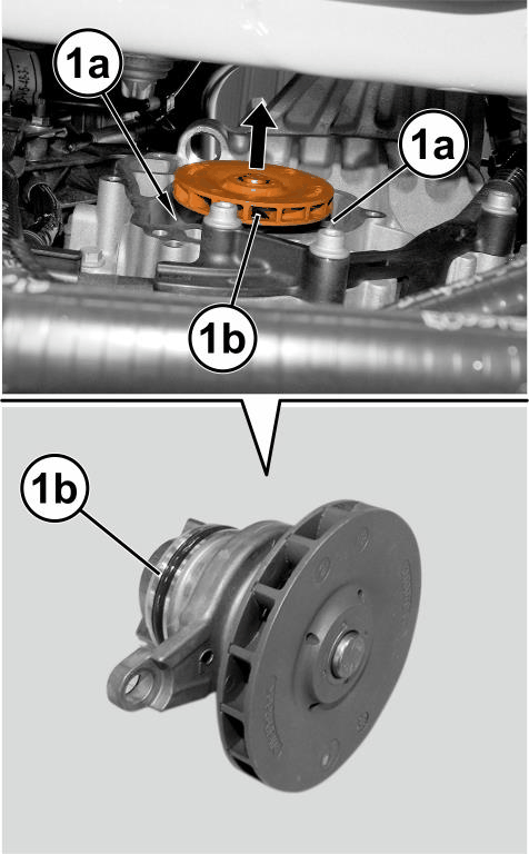 GC0207979