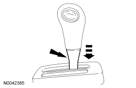 GF0029906
