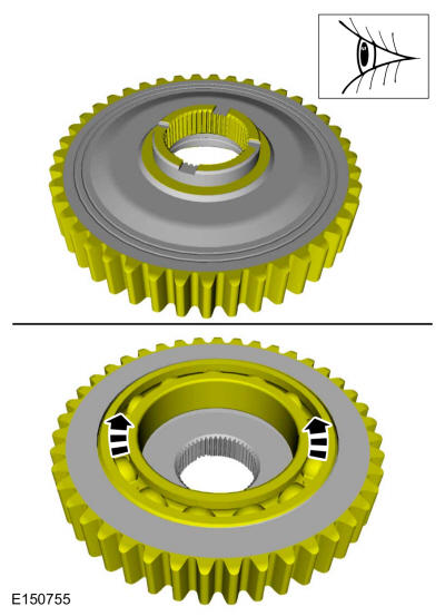 GFD123833