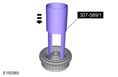 GFD123969