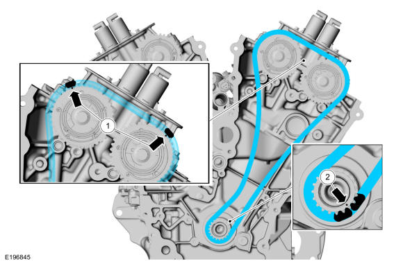 GFD16556