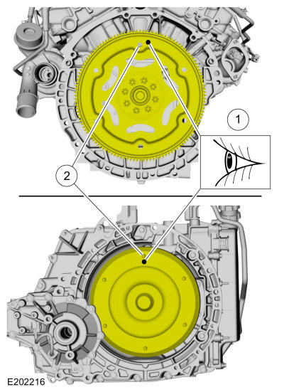 GFD16903