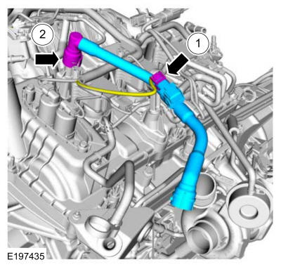 GFD174384