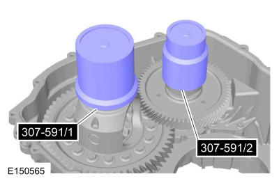 GFD237429