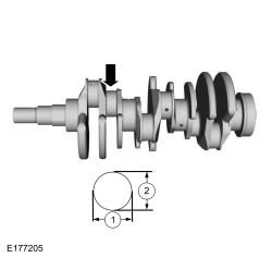 GFD33308