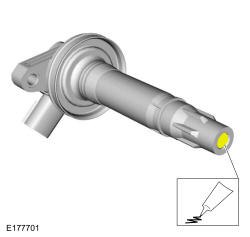 GFD33351