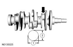 GFD338135