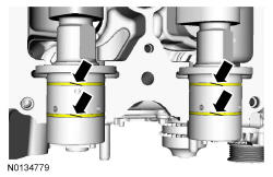 GFD338176