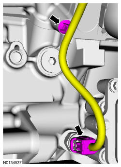 GFD338238