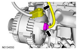 GFD338241