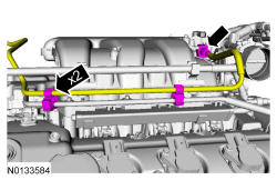 GFD338269