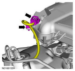 GFD338270