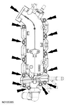 GFD338914