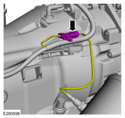 GFD387817