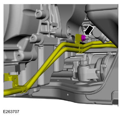 GFD387829
