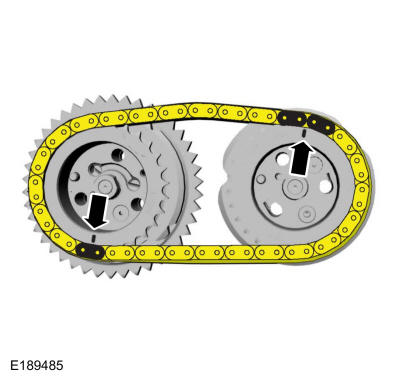 GFD388675