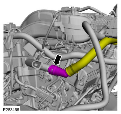GFD459713
