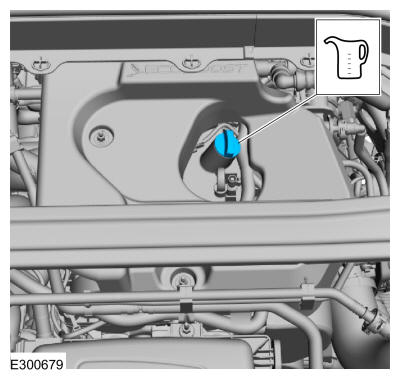 GFD655645