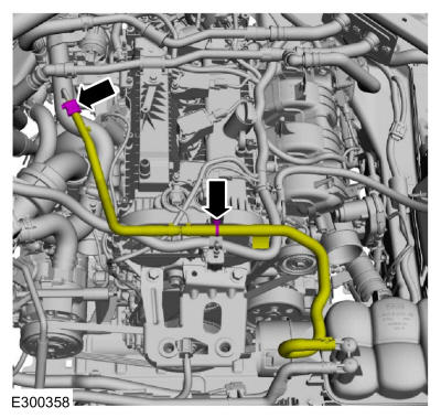GFD655949