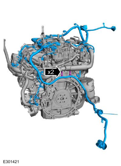 GFD656008