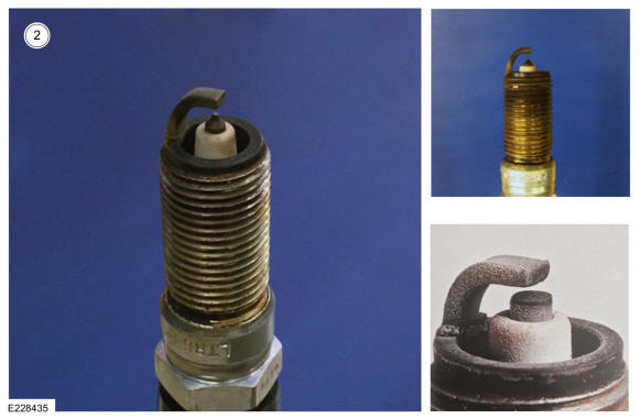 GFD689424
