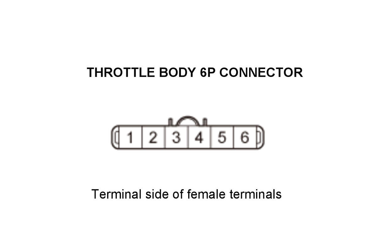 GHH307908