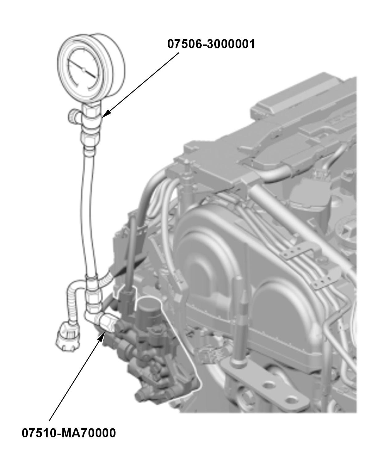GHH335256