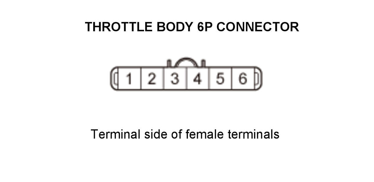 GHH404449