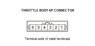 GHH48999